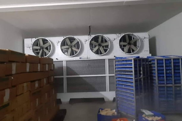 Blast Freezing / IQF