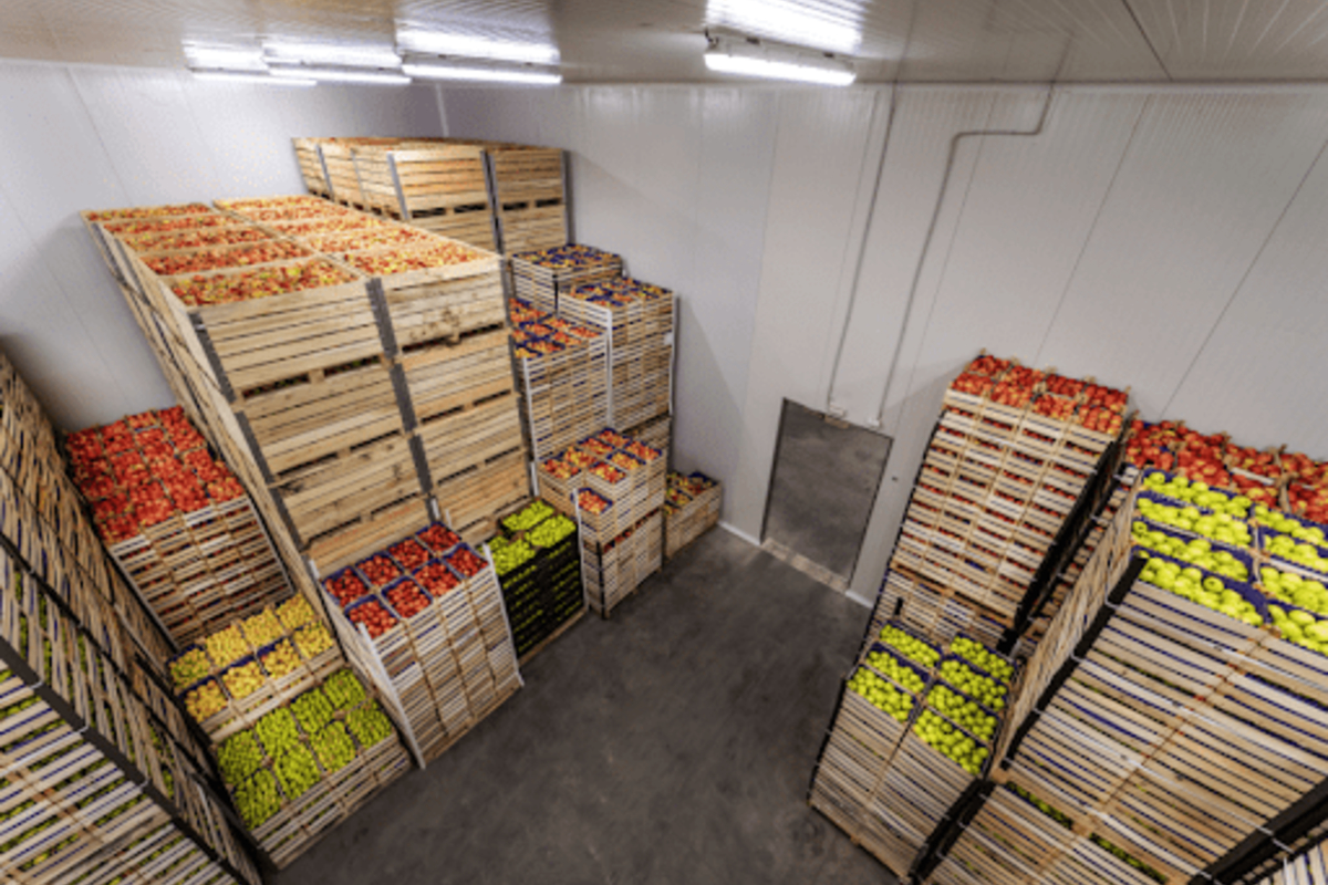 Cold Storage and Distribution Centers