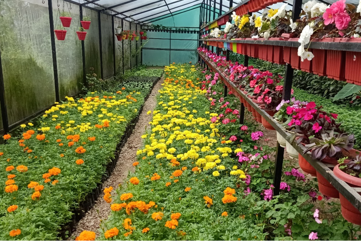 Pre-Cooling, Floriculture & Horticulture